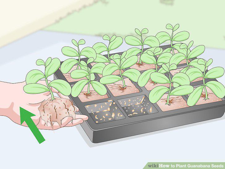 Step 13