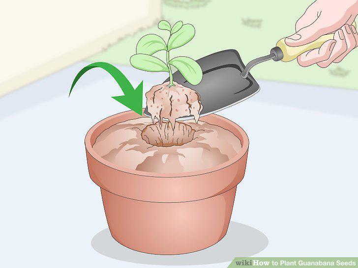 Step 14