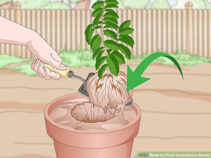 Step 15