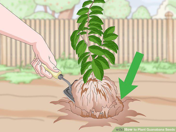 Step 16