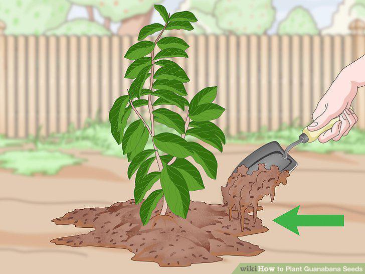Step 17