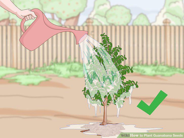 Step 18
