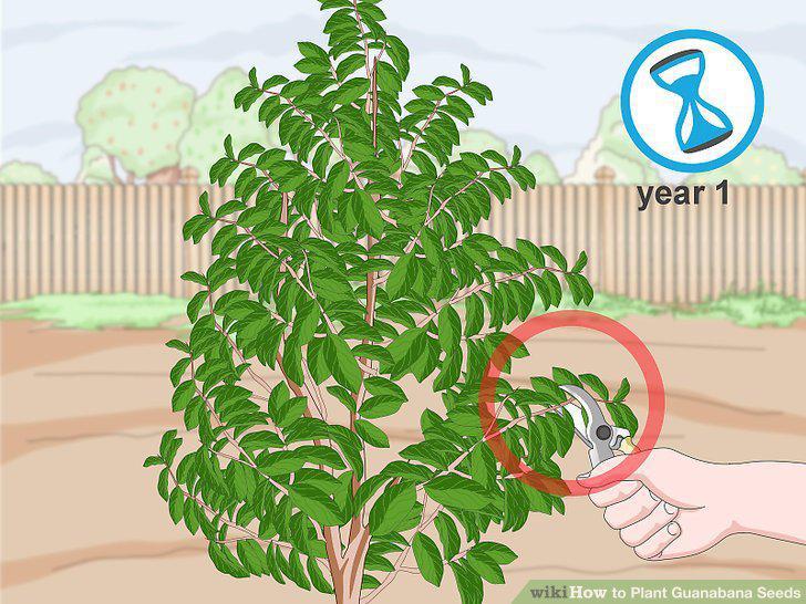 Step 21