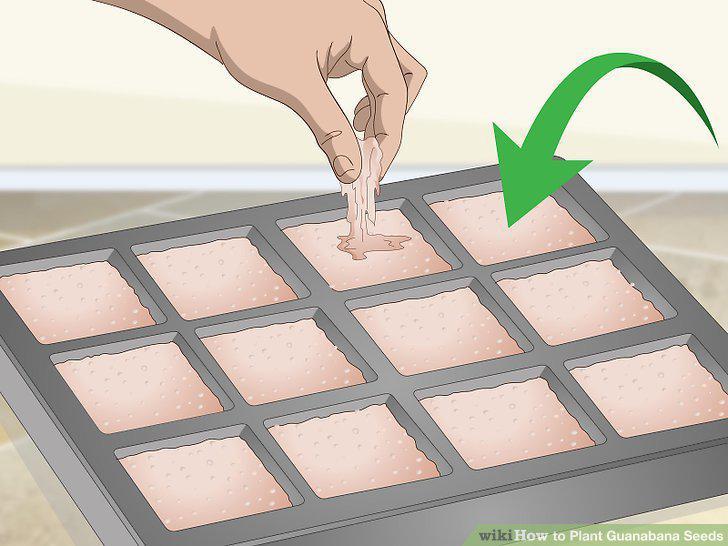 Step 8