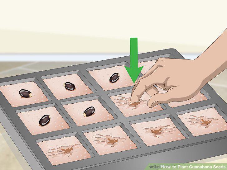 Step 9