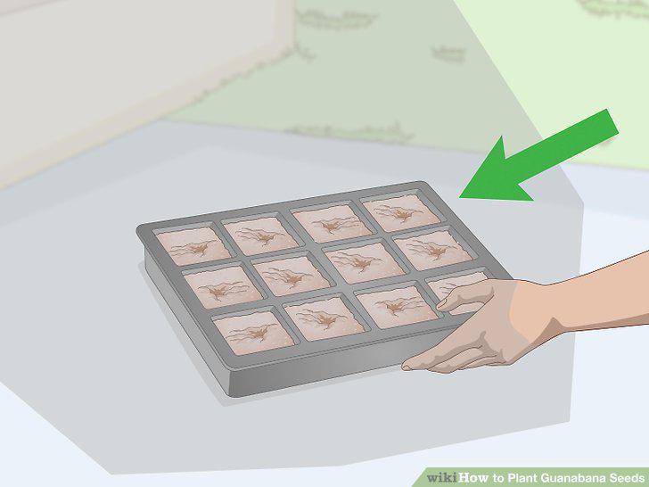 Step 10