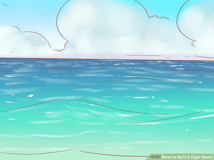 Step 10
