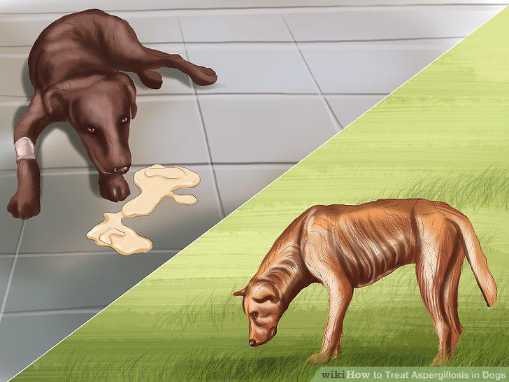 Step 2