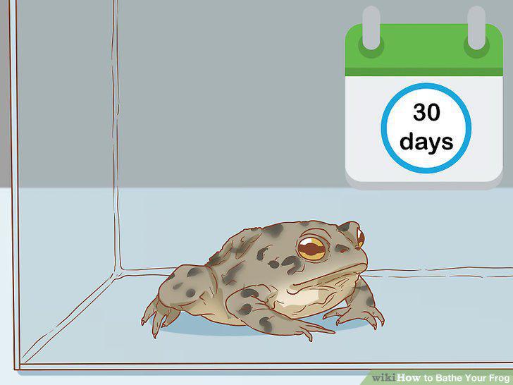Step 11