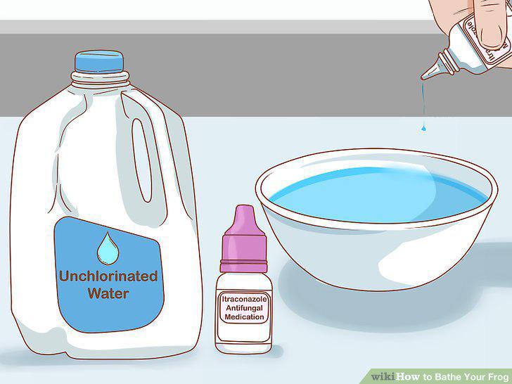 Step 12
