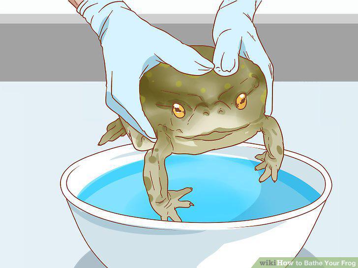 Step 13