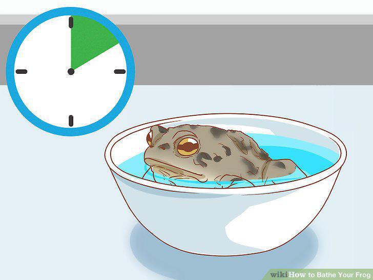 Step 14