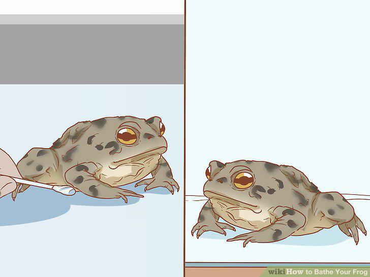 Step 15