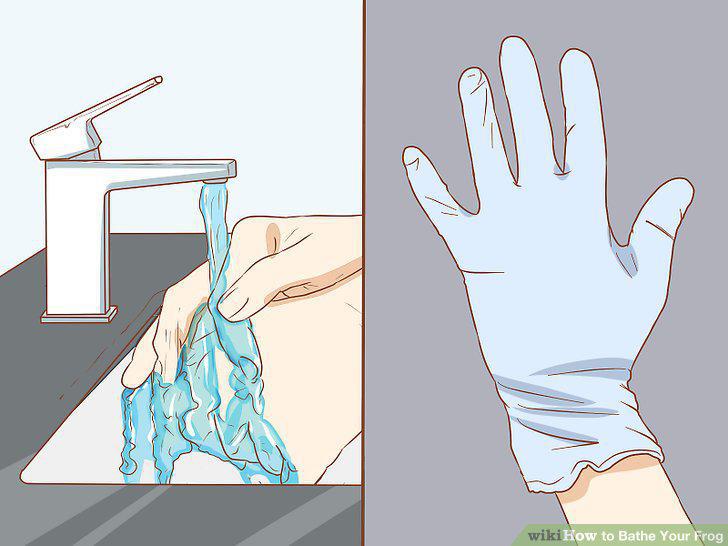 Step 5