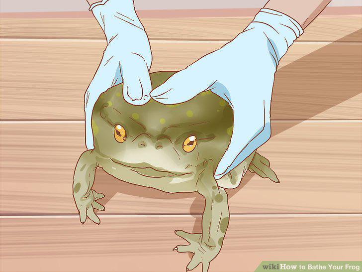 Step 8