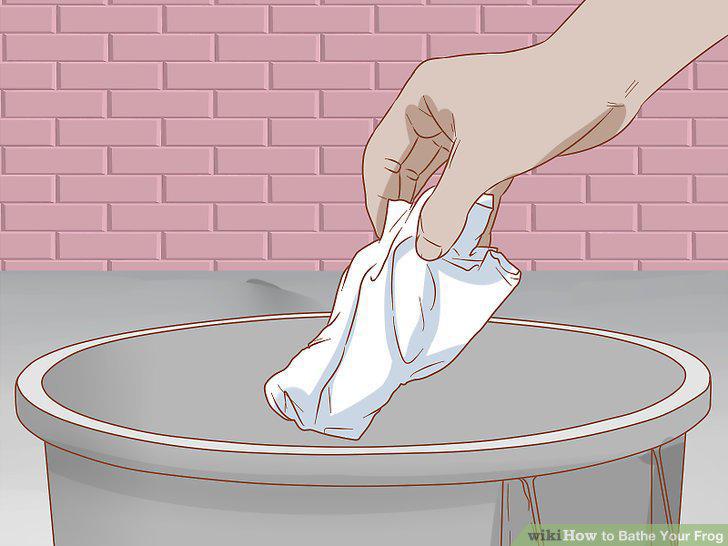 Step 9