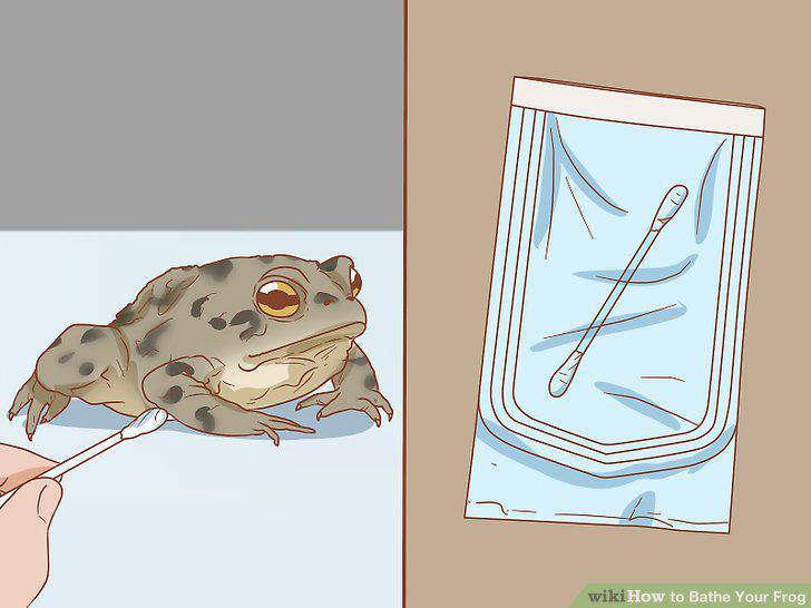 Step 10