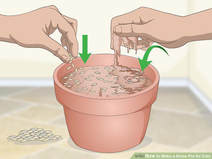 Step 2
