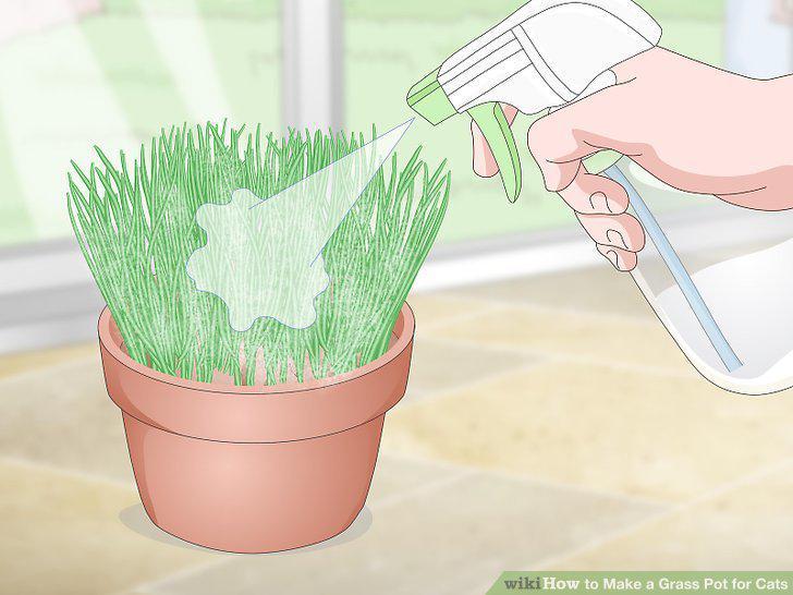 Step 11