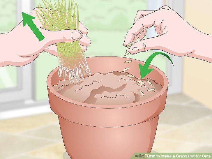 Step 13