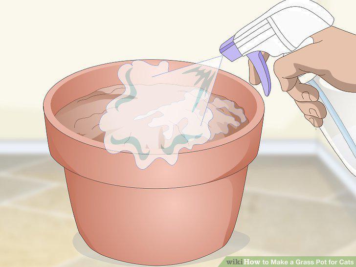 Step 3