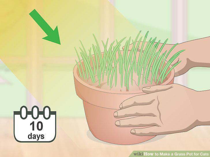 Step 5