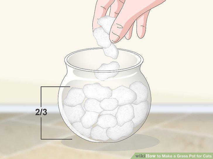 Step 6