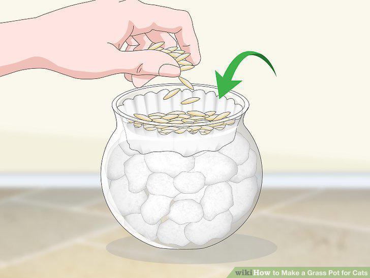 Step 7