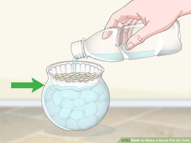 Step 8