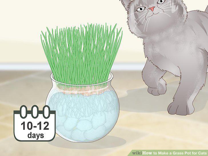 Step 9