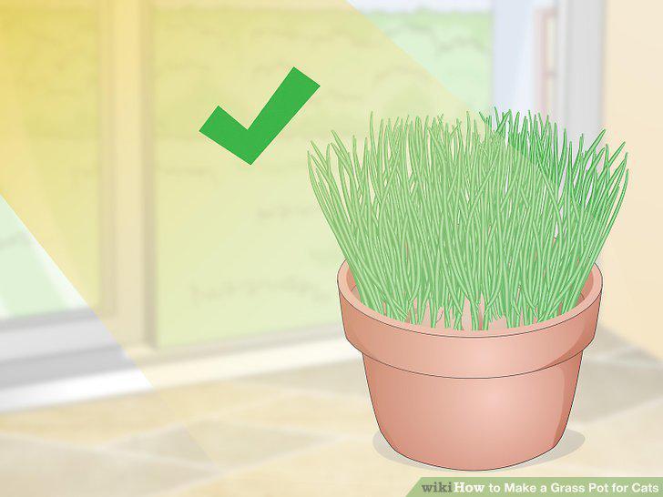 Step 10