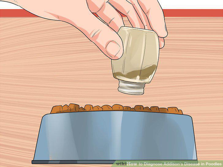 Step 11