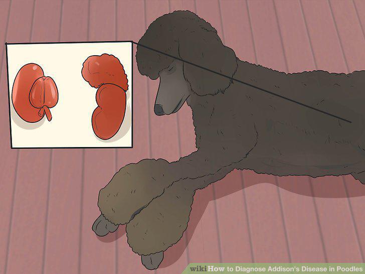 Step 8