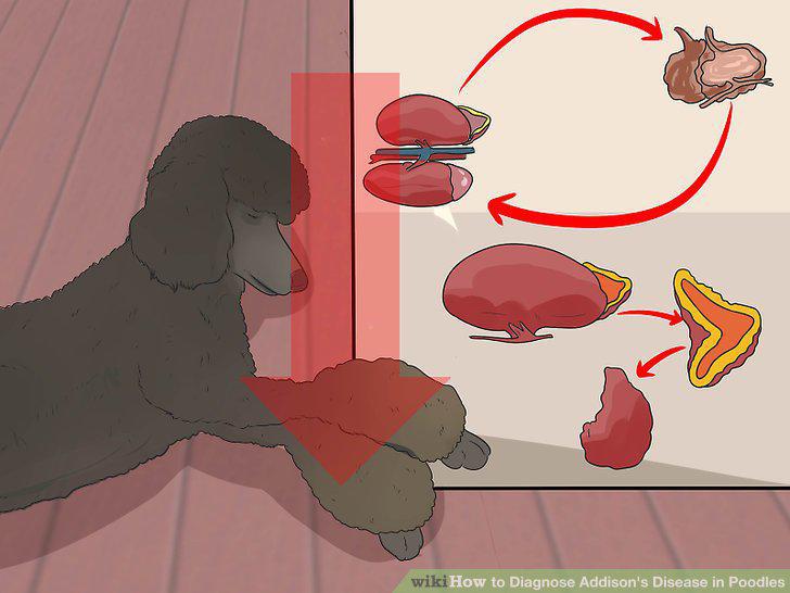 Step 10