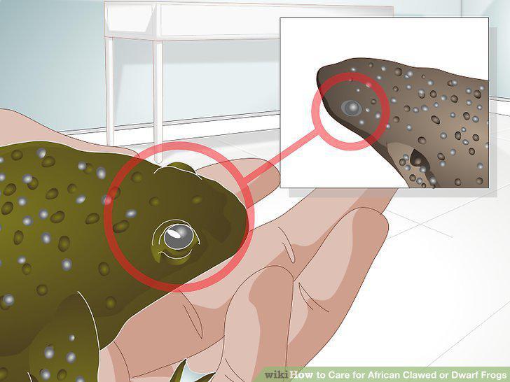 Step 13
