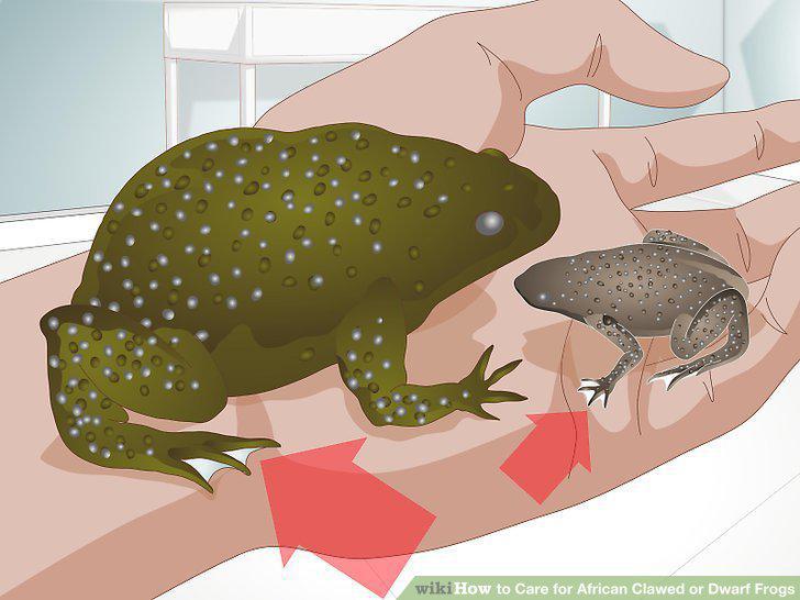 Step 14