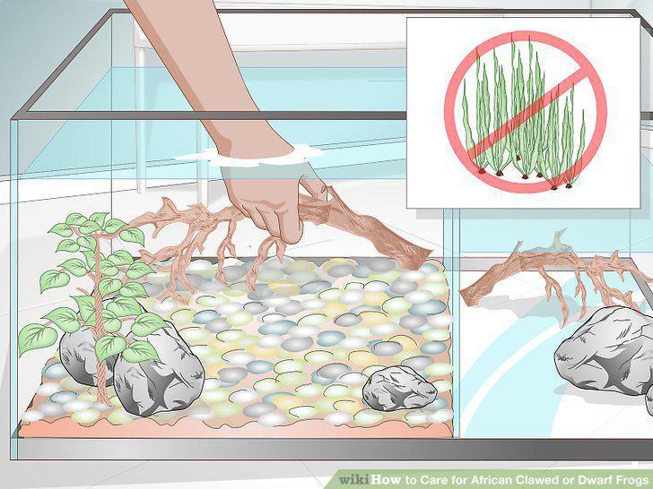 Step 5