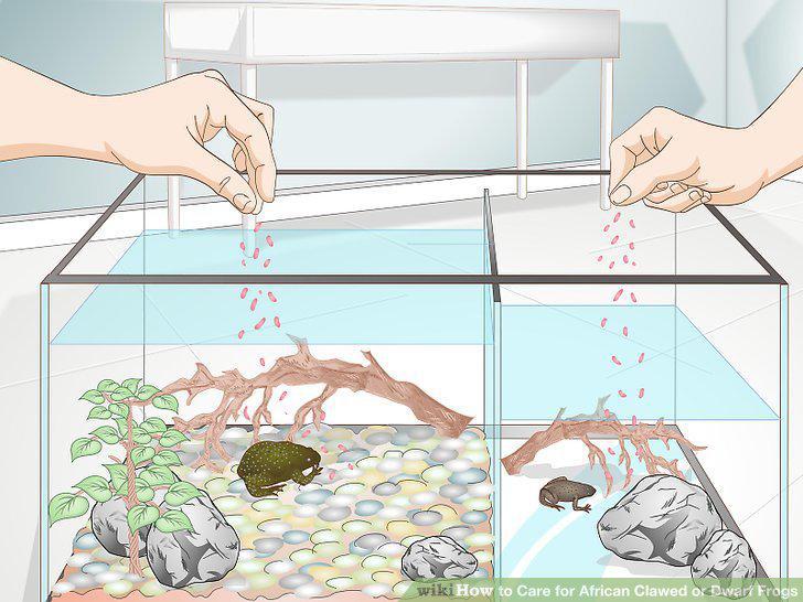 Step 9