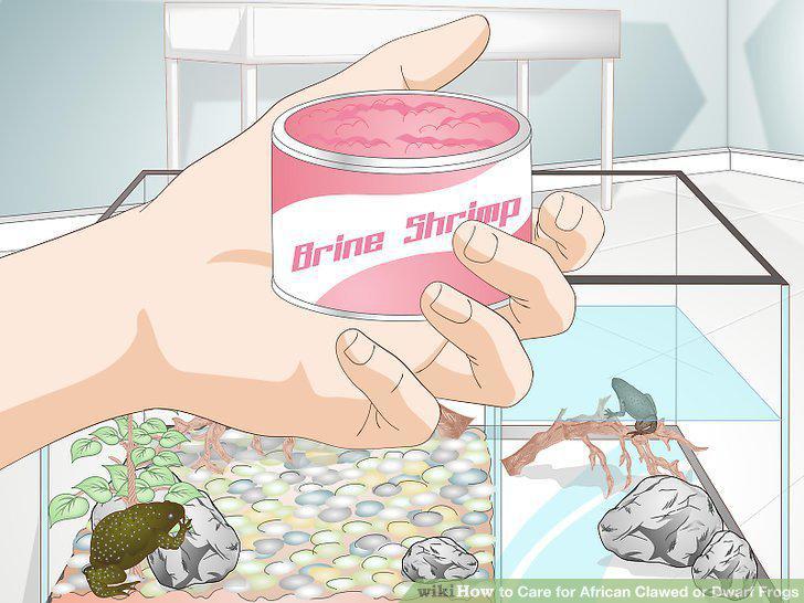 Step 10