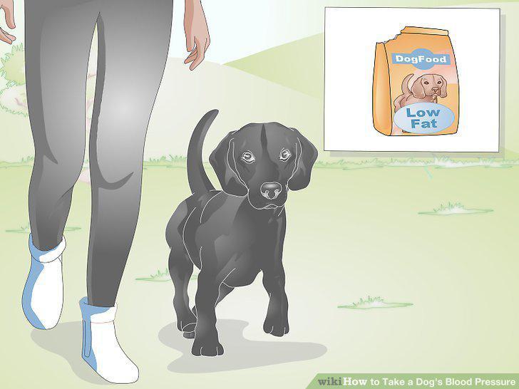 Step 11