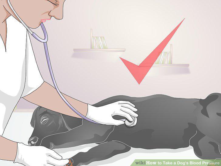 Step 12