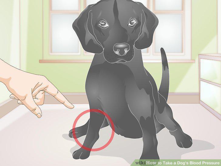 Step 5