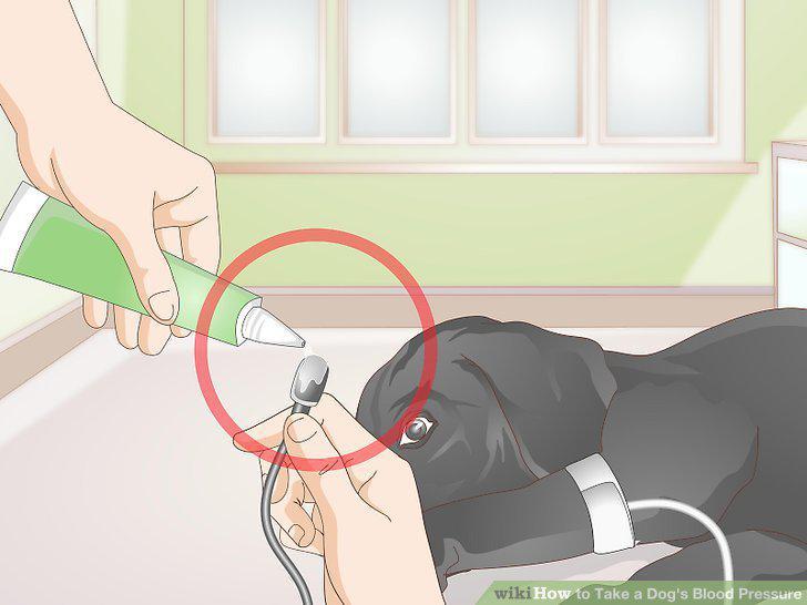 Step 8