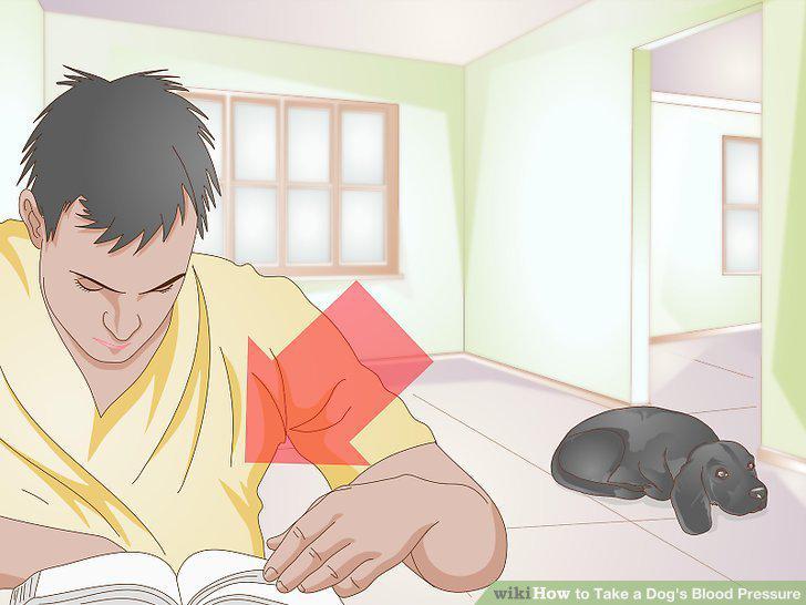 Step 10