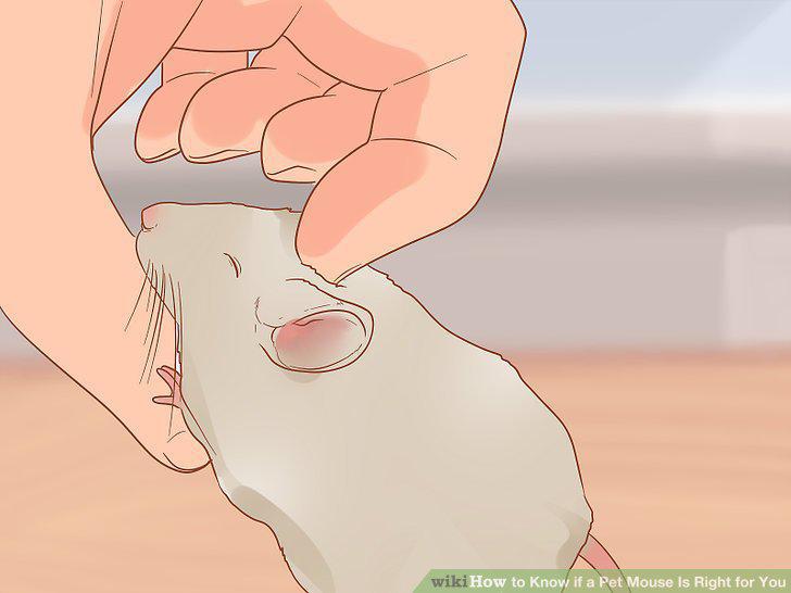 Step 7