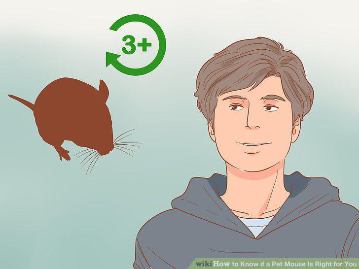 Step 9