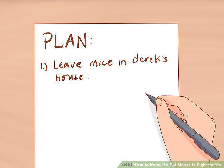 Step 10