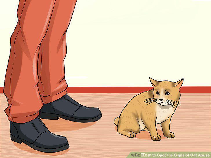 Step 11