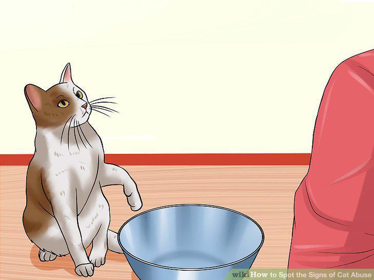 Step 13