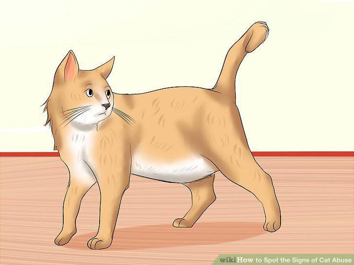 Step 5